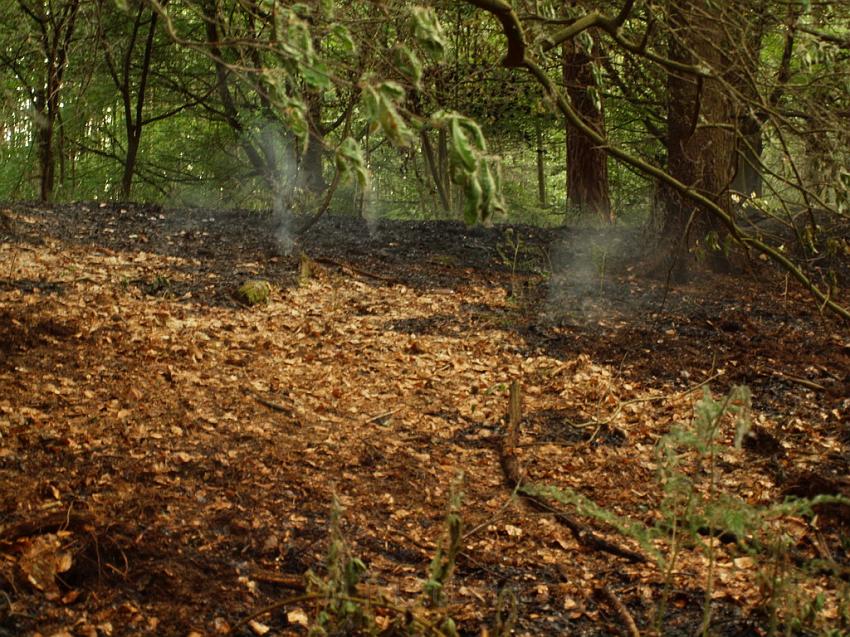 Waldbrand Bergisch Gladbach Bensberg P074.JPG